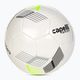 Capelli Tribeca Metro Team futbolo kamuolys AGE-5902 dydis 5 2