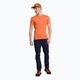Vyriški Salewa Pedroc 3 Dry trekingo marškinėliai oranžiniai 00-0000027725 2