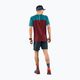 Vyriški bėgimo marškinėliai DYNAFIT Alpine Pro bordo spalvos 08-0000070964 2