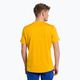 Salewa vyriški trekingo marškinėliai Puez Hybrid 2 Dry yellow 00-0000027397 3