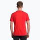 Vyriški Salewa Pedroc Dry Hyb trekingo marškinėliai raudoni 00-0000028583 3