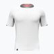 Vyriški marškinėliai Salewa Pedroc Dry Mesh White 4