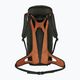 Salewa Alp Mate 26 l green 00-0000001272 trekingo kuprinė 6