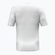 Vyriški marškinėliai Salewa Puez Sporty Dry White 2