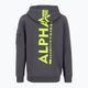 Vyriškas džemperis Alpha Industries Back Print Zip vintage grey 2