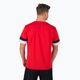 Vyriški PUMA Teamrise Jersey futbolo marškinėliai raudoni 704932 01 2