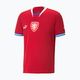 Vyriški futbolo marškinėliai PUMA Facr Home Jersey Replica red 765865 01 8