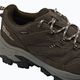 Žygio batai Jack Wolfskin Vojo Tour Texapore Low cold coffee 5