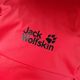 Jack Wolfskin Wolftrail 28 Recco turistinė kuprinė raudona 2010191_2206_OS 6