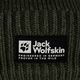 Jack Wolfskin Playn Logo Beanie žieminė kepurė island moss 4