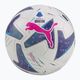 PUMA Orbit Serie A FIFA Quality Pro Football 083999 01 dydis 5 4