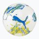 Futbolo kamuolys PUMA Orbita 6 FanwearCapsule MS puma white/pele yellow/puma green dydis 5 4