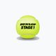 Dunlop Stage 1 vaikų teniso kamuoliukai 60 vnt. žali 601342 2