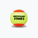 Dunlop Stage 2 vaikų teniso kamuoliukai 60 vnt. oranžinės/geltonos spalvos 601343 2