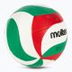 Tinklinio kamuolys Molten V5M2000-5 white/green/red dydis 5 2