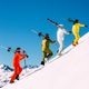 Vyriškos slidinėjimo kelnės Descente Bill Grey/Green 11