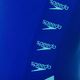 Speedo Boom Logo Splice Muscleback moteriškas vientisas maudymosi kostiumėlis G008 blue 12900G008 3