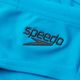 Speedo Logo Brief vaikiškos maudymosi kelnaitės mėlynos 68-05533G696 2