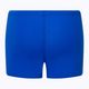 Nike Poly Solid Aquashort vaikiški plaukimo bokseriai mėlyni NESS9742-494 2