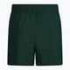 Vyriški maudymosi šortai Nike Essential 5" Volley green NESSA560-303 2