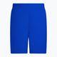 Vyriški "Nike Essential 5" Volley" maudymosi šortai mėlyni NESSA560-494 2
