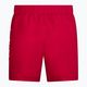 Vyriški "Nike Essential 5" Volley" maudymosi šortai raudoni NESSA560-614 2