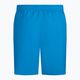 Vyriški "Nike Essential 5" Volley" maudymosi šortai mėlyni NESSA560-406 2