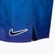 Vyriški "Nike Jdi Fade 5" Volley" maudymosi šortai violetinės spalvos NESSC479-593 4
