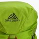 Gregory Alpinisto 35 l alpinistinė kuprinė žalia 02J*04041 5