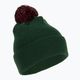 Vyriška žieminė kepurė PROSTO Prekės ženklas žalia KL222MACC2172U