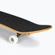 Fish Skateboards Retro Black 8.0 klasikinė riedlentė juoda 7
