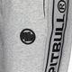 Pitbull West Coast Moteriškos sportinės kelnės F.T. 21 Small Logo pilka/melanžinė 3
