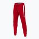 Pitbull West Coast vyriškos New Hilltop Jogging kelnės raudonos spalvos 3