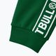 Pitbull West Coast vyriškos sportinės kelnės Tape Logo Terry Group green 7
