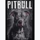 Vyriški marškinėliai Pitbull West Coast Street King black 5