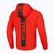 Vyriškas džemperis Pitbull Hermes Hooded Zip flame red 8