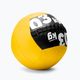 Gipara Fitness Wall Ball 3091 3 kg medicininis kamuolys