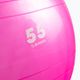 Gipara Fitness gimnastikos kamuolys rožinis 3998 55 cm 2