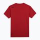Vyriški marškinėliai 4F M260 raudona/melsva 2