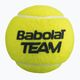 Babolat Team teniso kamuoliukai 18 x 4 vnt. geltoni 502035 2