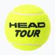 HEAD Tour teniso kamuoliukai 4 vnt. 2