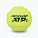 Dunlop ATP teniso kamuoliukai 18 x 4 vnt. geltoni 601314 4