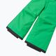 Reima Proxima vaikiškos slidinėjimo kelnės, žalios 5100099A-8250 4