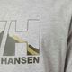 Helly Hansen Nord Graphic vyriški trekingo marškinėliai šviesiai pilki 62978_950 4