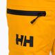 Helly Hansen vaikiškos slidinėjimo kelnės Elements yellow 41765_328 3