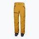 Helly Hansen vyriškos slidinėjimo kelnės Sogn Cargo yellow 65673_328 6