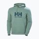 Vyriškas džemperis Helly Hansen HH Logo Hoodie cactus 5