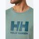 Vyriški marškinėliai Helly Hansen HH Logo cactus 3