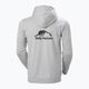 Vyriškas džemperis Helly Hansen Nord Graphic Pull Over Hoodie grey melange 2 2