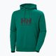 Vyriškas džemperis Helly Hansen HH Logo Hoodie 2.0 emerald 5